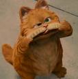 garfield